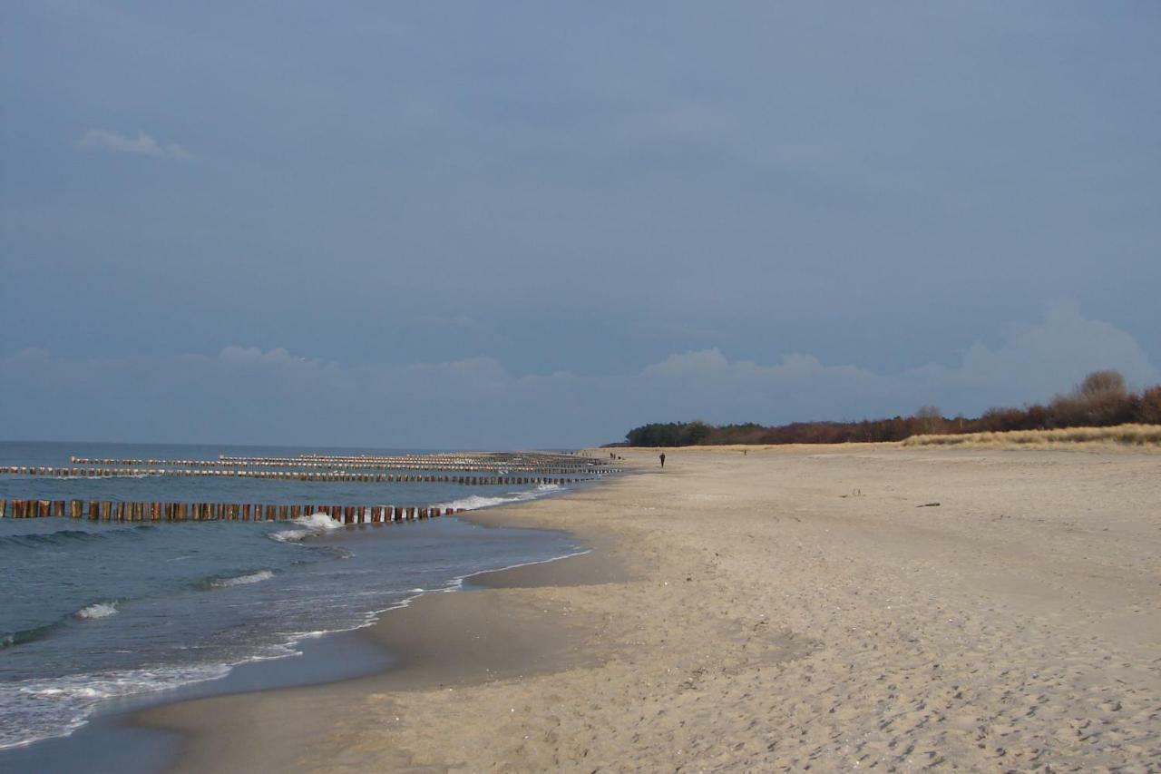 Ferienwohnung Am Strand Zingst Eksteriør bilde
