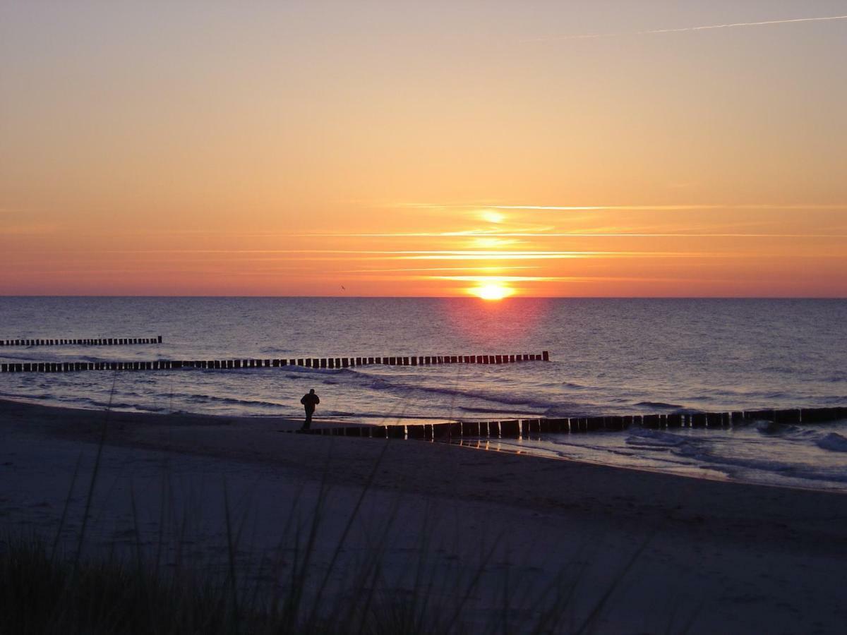 Ferienwohnung Am Strand Zingst Eksteriør bilde